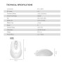 FANTECH W191S GO: Dual Mode Bluetooth & Wireless Mouse, Silent Click, Can connect to 2 devices simultaneously