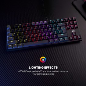 Fantech SUMI Edition MK876V2 - ATOM87, Pro Wired Mechanical Keyboard with RGB Lighting Gray