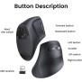 UGREEN Vertical Mouse, Dual Mode Bluetooth & Wireless Mouse, Silent Click, 4000DPI - MU008 25444